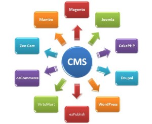 CMS wild icon marketing international