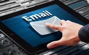 About Email wild icon marketing international